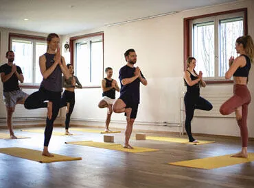 Ayurvedic Yoga Zurich