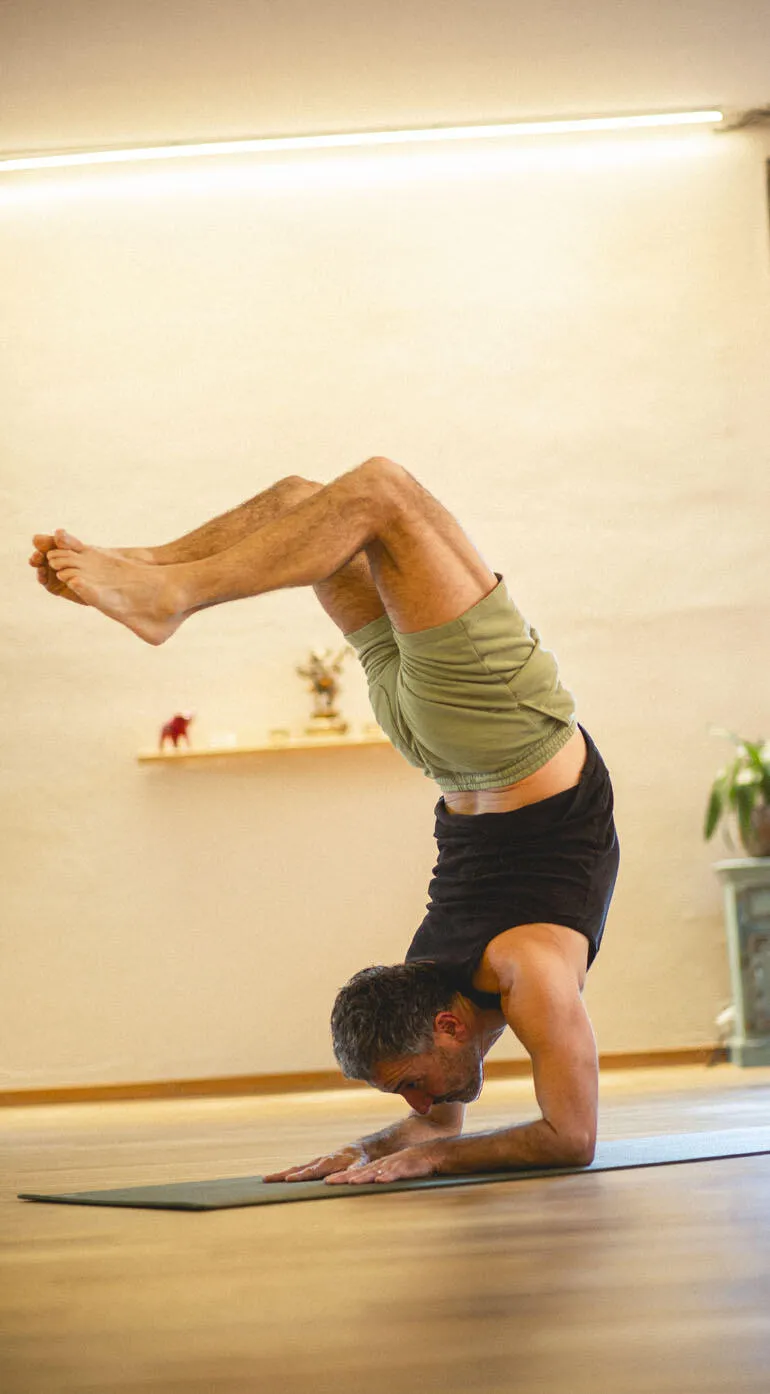 Advanced Hatha Yoga Training