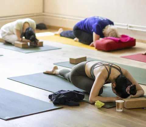 Ayurvedic Yoga Training Zurich