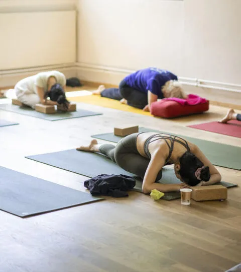 Therapeutic Yoga Zurich